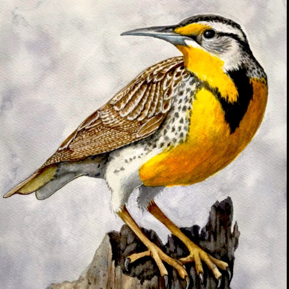 Meet your Posher, Erin - Picture 1 of 1